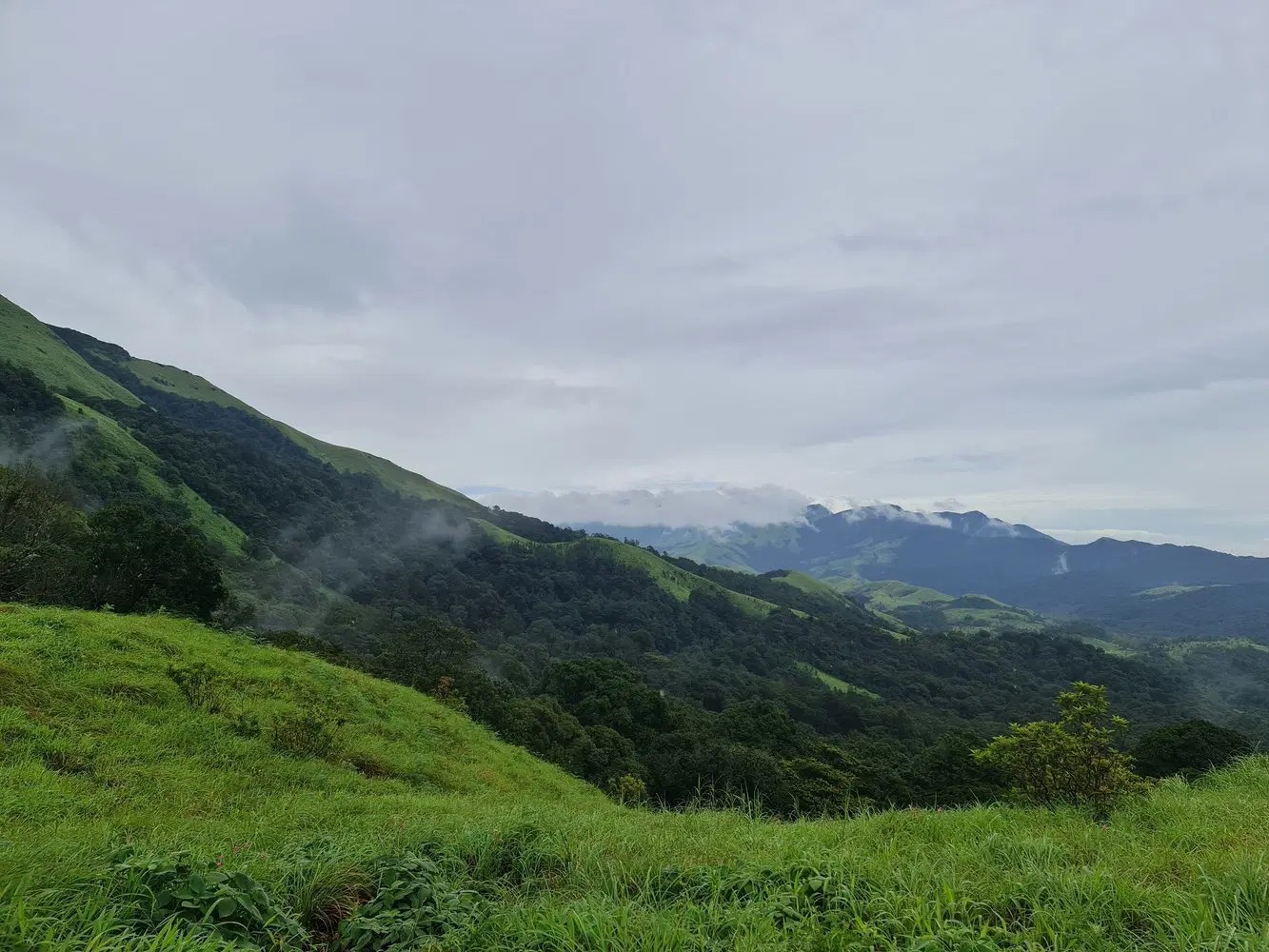 Gangadikal Trek