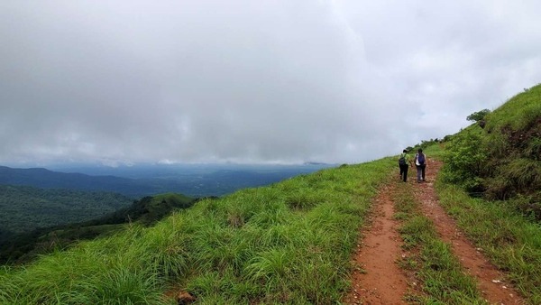 Kurinjal Trek